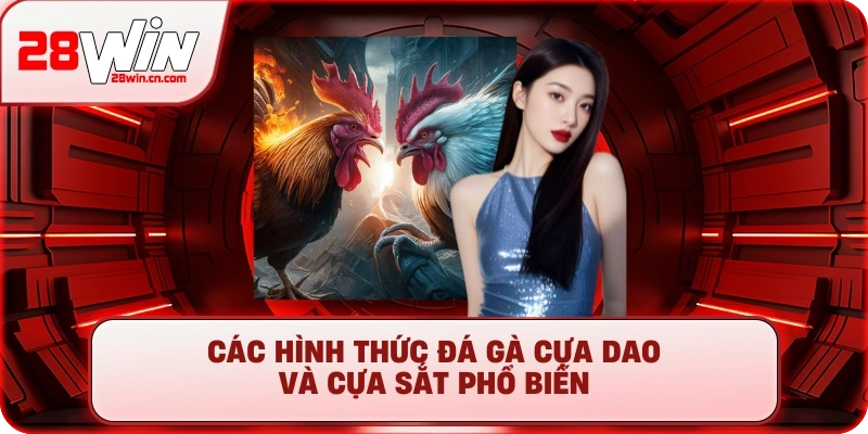 Đá Gà Thomo - Xem Trực Tiếp Đấu Trường Cựa Sắt #1 2025 2 Các hình thức đá gà cựa dao và cựa sắt phổ biến