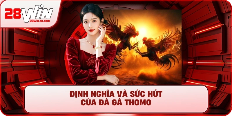 Đá Gà Thomo - Xem Trực Tiếp Đấu Trường Cựa Sắt #1 2025 1 Định nghĩa và sức hút của Đá Gà Thomo