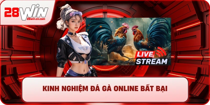 Đá Gà Online - Kinh Nghiệm Chơi Thắng Lớn Tại 28Win 4 Kinh nghiệm đá gà online bất bại
