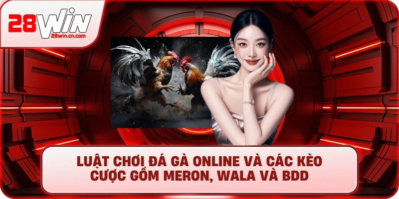 Đá Gà Online - Kinh Nghiệm Chơi Thắng Lớn Tại 28Win 3 Luật chơi đá gà online và các kèo cược gồm Meron, Wala và BDD